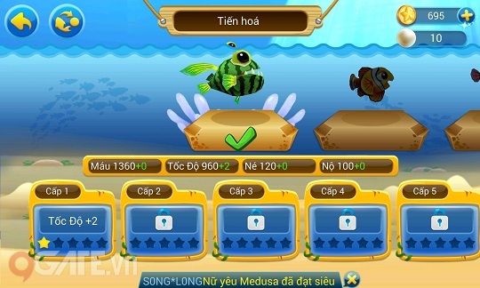 Chọi Cá Online - Hướng dẫn Tiến Hóa cá